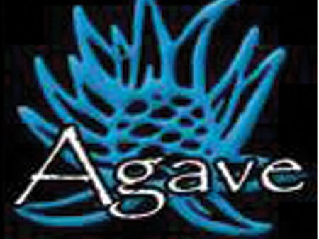 Agave Grill Hot on Sale