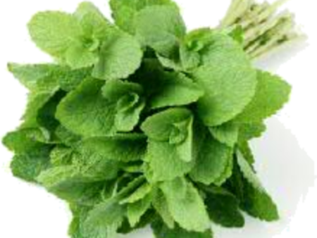 HERB MINT PUNNET 30GR Fashion