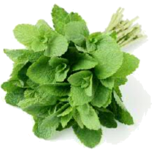 HERB MINT PUNNET 30GR Fashion