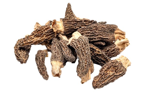 MUSHROOM MORELS DRIED EXTRA 400G Hot on Sale