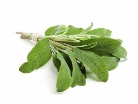 HERB SAGE IMPORTED PUNNET 30G Hot on Sale