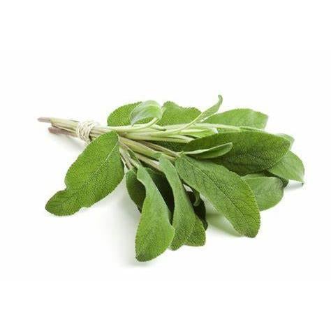 HERB SAGE IMPORTED PUNNET 30G Hot on Sale