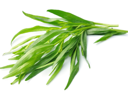 HERB TARRAGON PUNNET 30GR Discount