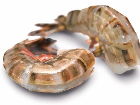 SHRIMPS 13 15 EASY PEEL 800G Online Hot Sale