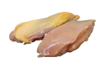 FILET DE POULET JAUNE   KG Online