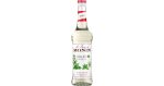 MONIN MOJITO MINT SYRUP 70CL Online