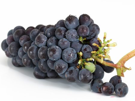 Purple Grapes For Discount