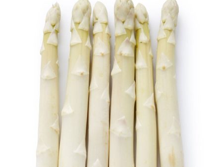 ASPARAGUS WHITE FR PCE Cheap