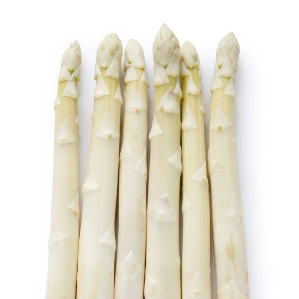 ASPARAGUS WHITE FR PCE Cheap