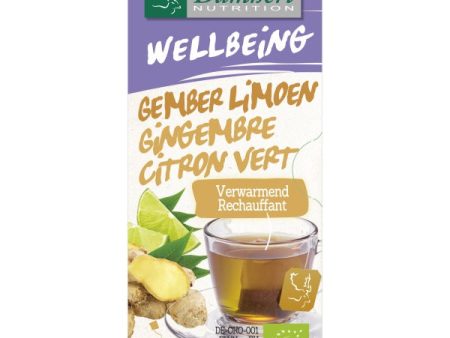 DH WELLBEIN TEA GINGER LIME BIO 35GR Discount