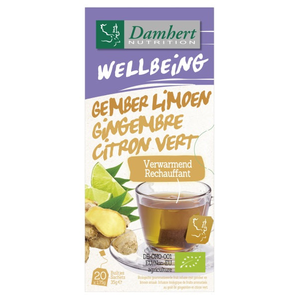 DH WELLBEIN TEA GINGER LIME BIO 35GR Discount