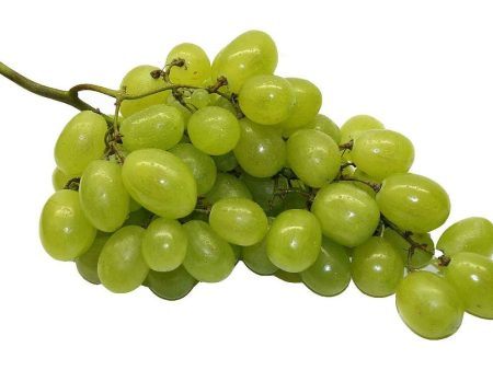 Green Grapes Discount