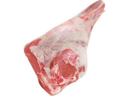 LAMB LEG FEMUR BONE IN CHUMP OFF  KG Online