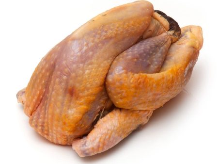 GUINEA FOWL WHOLE  FRZ  KG on Sale