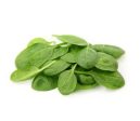 BABY LETTUCE SPINACH PUNNET 125G Online Sale