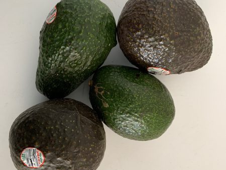 Avocado- Bag of 4 Discount