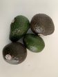 Avocado- Bag of 4 Discount