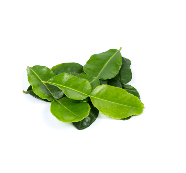 LIME LEAVES KEFIR 100G Hot on Sale