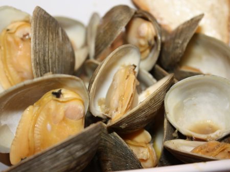 CLAMS HALF SHELL COOKED 60 90 800G Online Sale