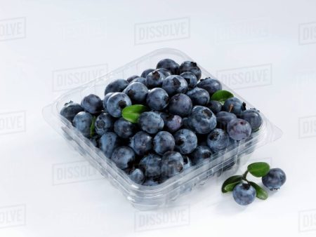 BLUEBERRY PUNNET 125GR For Discount