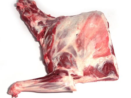 BB LAMB HALF CARCASSES 6-8KG Fashion