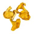 MUSHROOM GIROLLES  EXTRA Online Sale