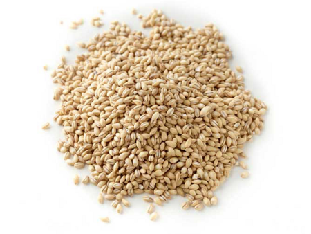 PEARL BARLEY 500G Online Sale